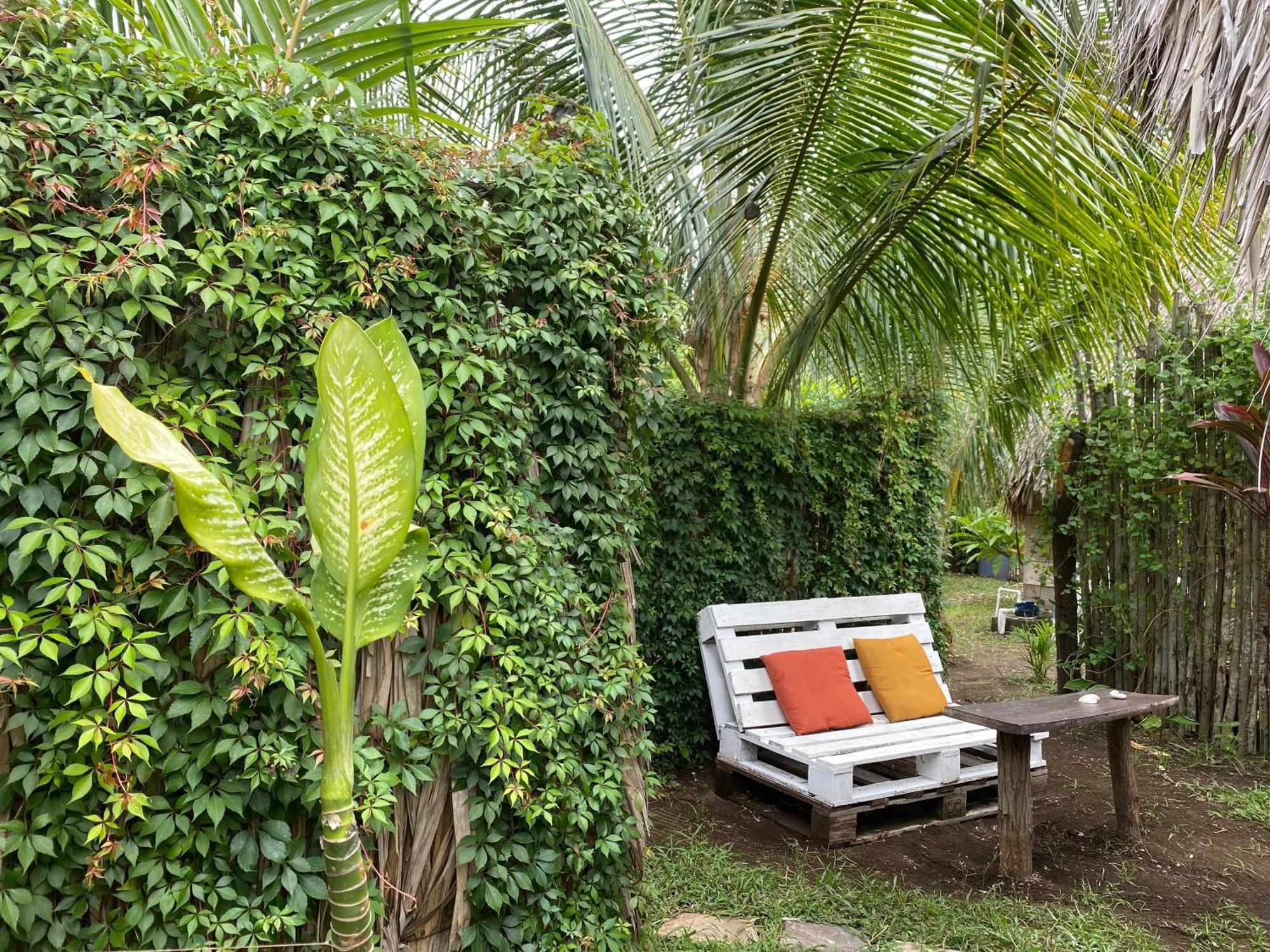 Calypso Cabanas El Paredon Buena Vista Ngoại thất bức ảnh